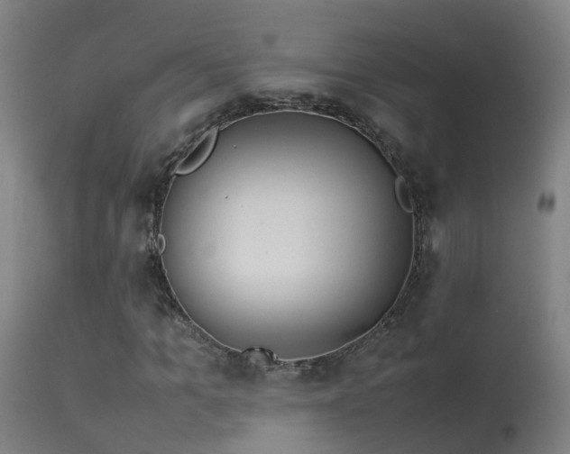 X0000114140965200910151605