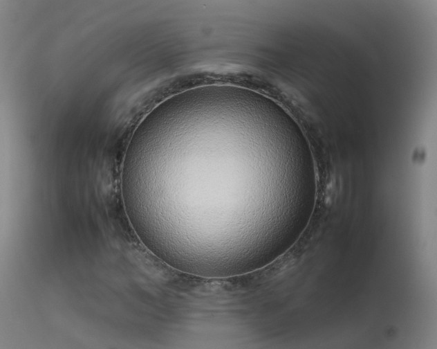 X0000114140966200910151605