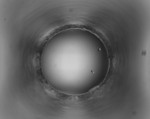 X0000114140968200910151605