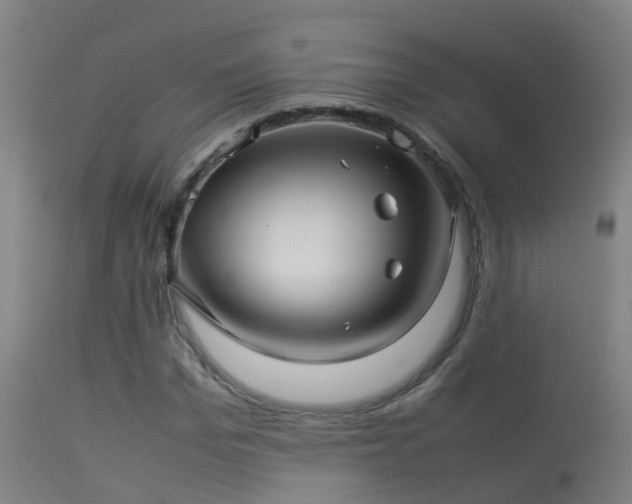 X0000114140969200910151605