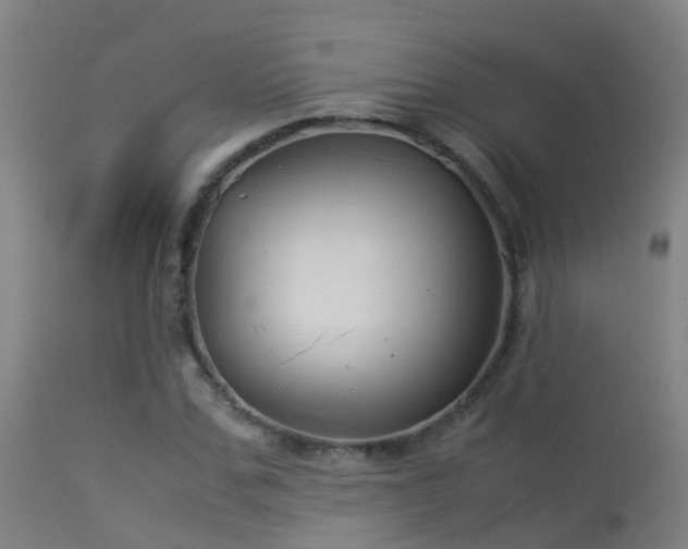 X0000114140971200910151605