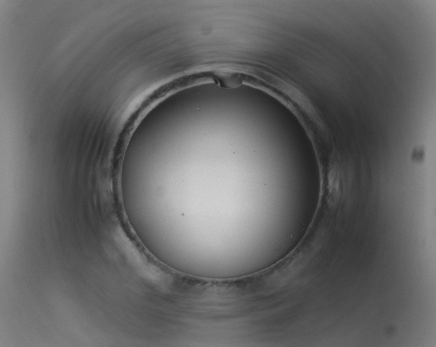 X0000114140972200910151605