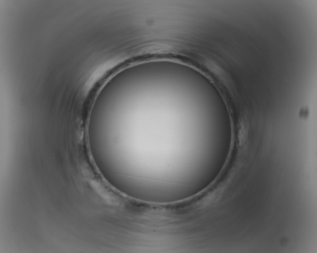 X0000114140973200910151605