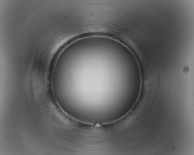 X0000114140975200910151605