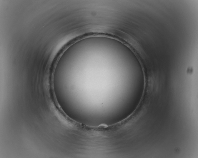 X0000114140976200910151605