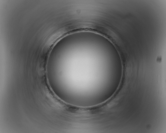 X0000114140977200910151605