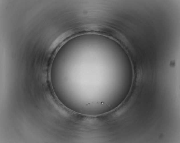 X0000114140978200910151605