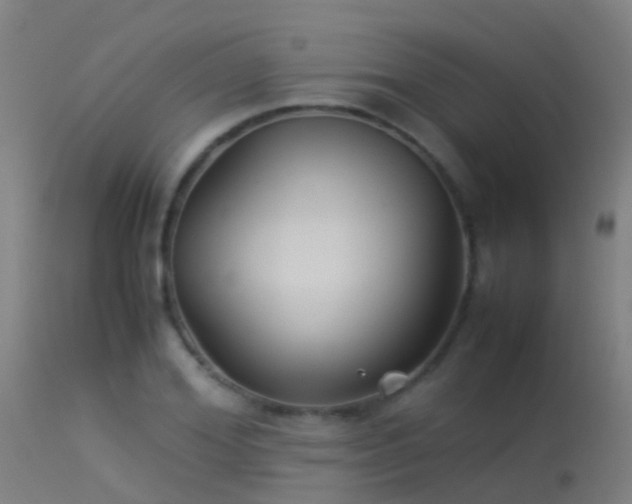 X0000114140980200910151605