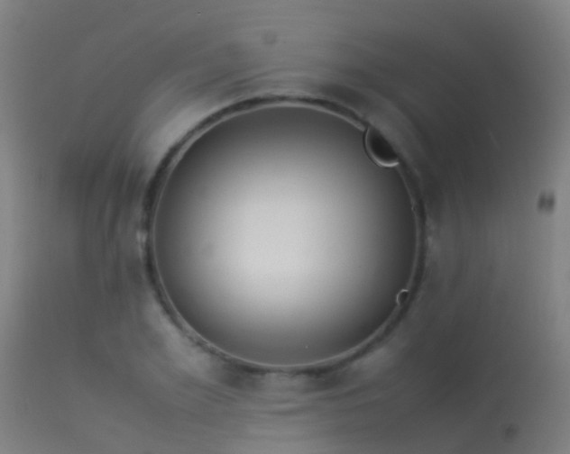 X0000114140981200910151605