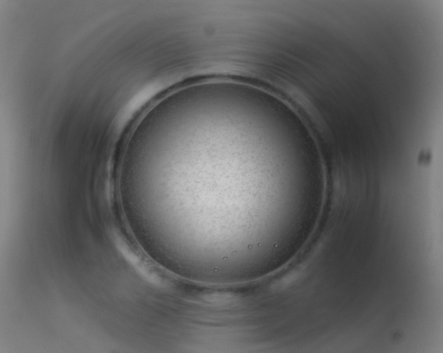 X0000114140982200910151605