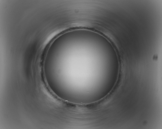 X0000114140983200910151605