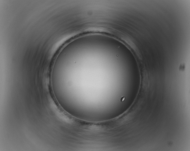 X0000114140984200910151605