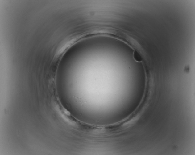 X0000114140985200910151605