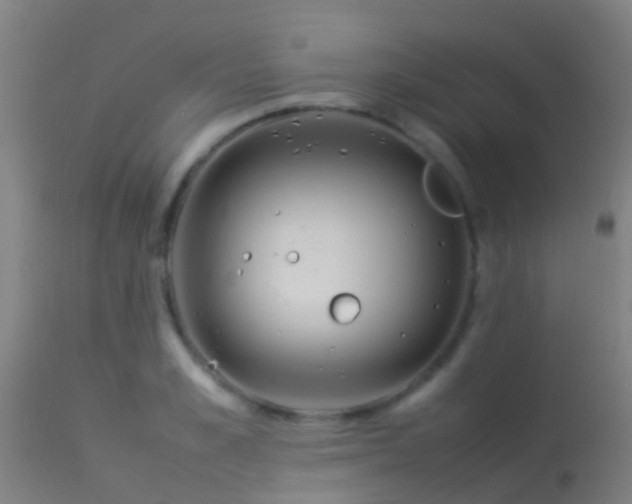 X0000114140989200910151605