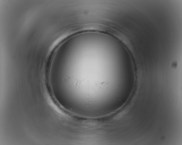 X0000114140991200910151605