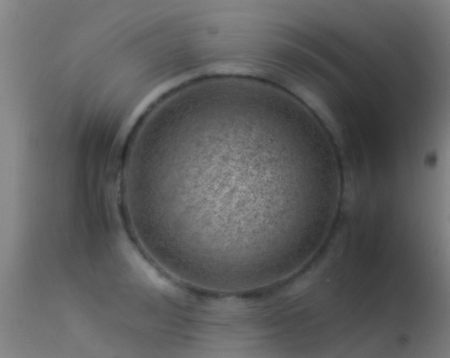 X0000114140992200910151605