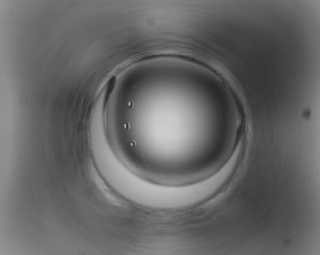 X0000114140993200910151605