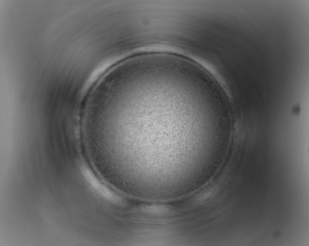 X0000114140998200910151605