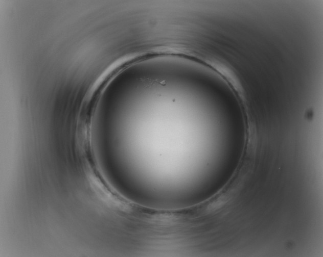 X0000114141000200910151605