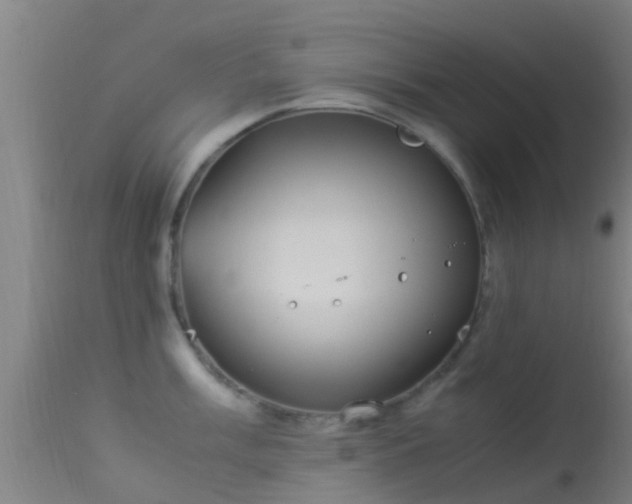 X0000114141003200910151605