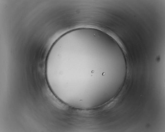 X0000114141004200910151605