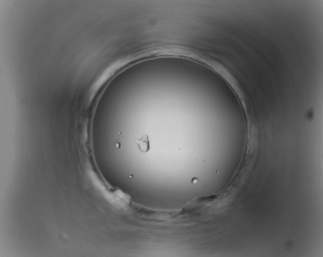 X0000114141005200910151605