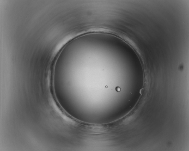 X0000114141007200910151605