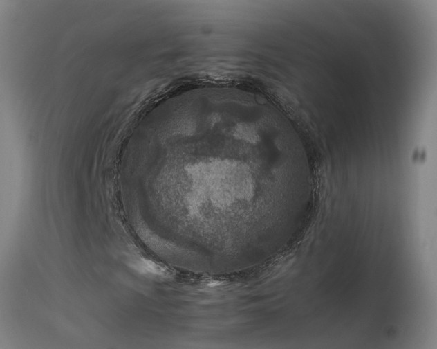 X0000114141009200910151604