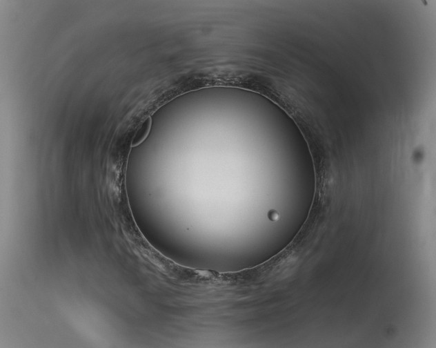 X0000114141010200910151604