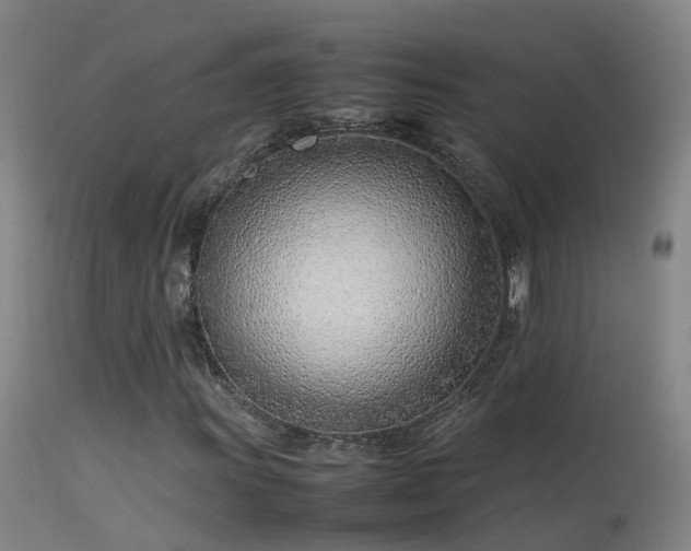 X0000114141011200910151604