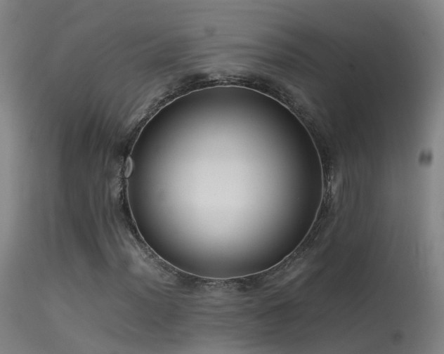 X0000114141012200910151604