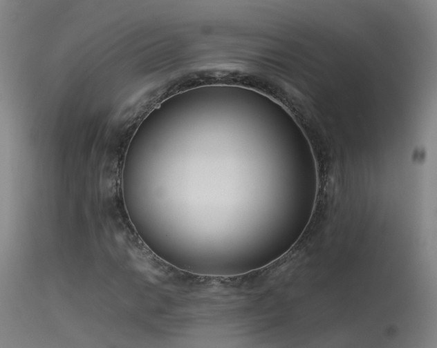 X0000114141014200910151604