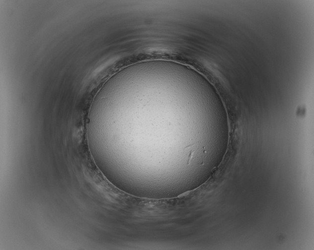 X0000114141015200910151604