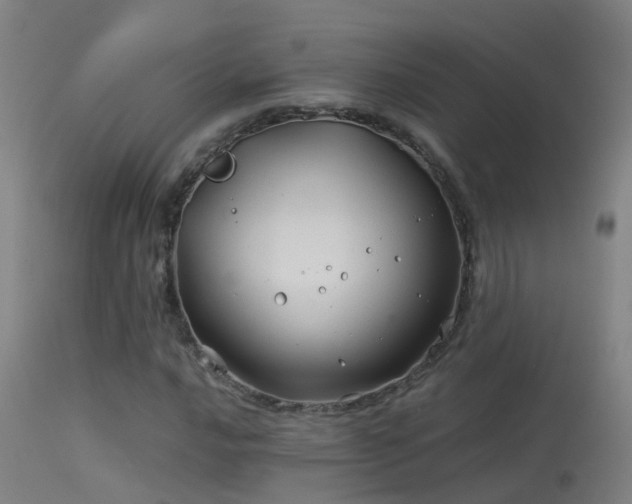 X0000114141016200910151604