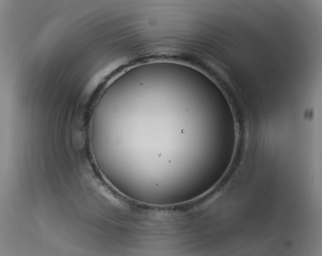 X0000114141018200910151604