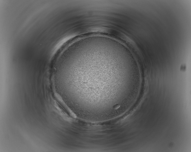 X0000114141019200910151604