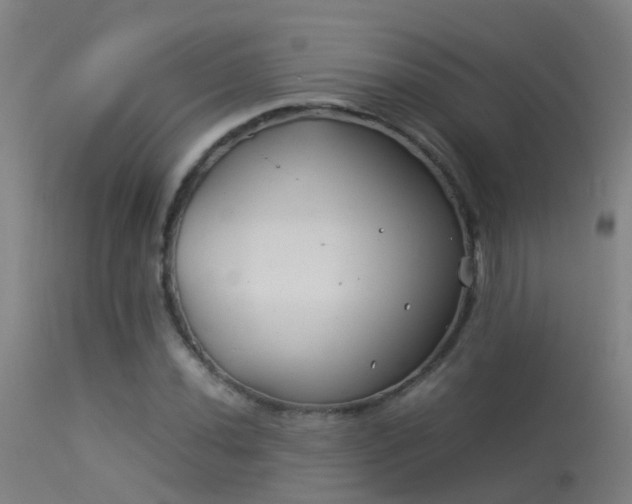 X0000114141020200910151604