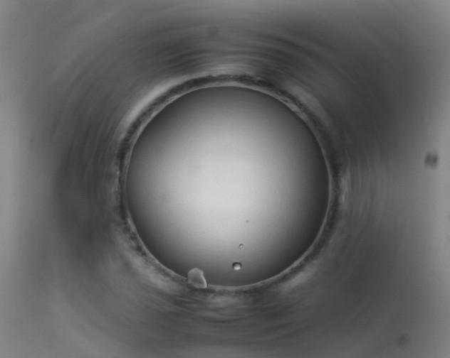 X0000114141021200910151604