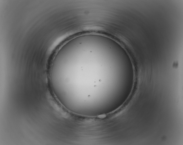 X0000114141022200910151604