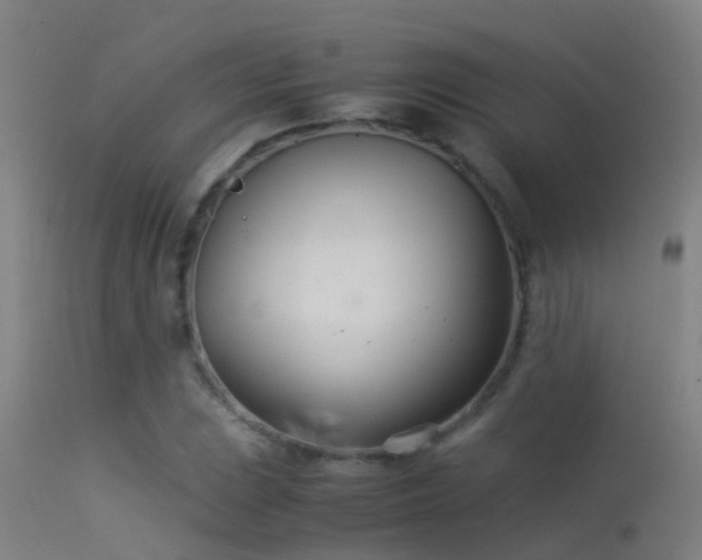 X0000114141023200910151604