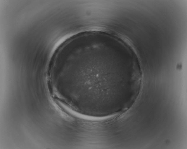 X0000114141024200910151604