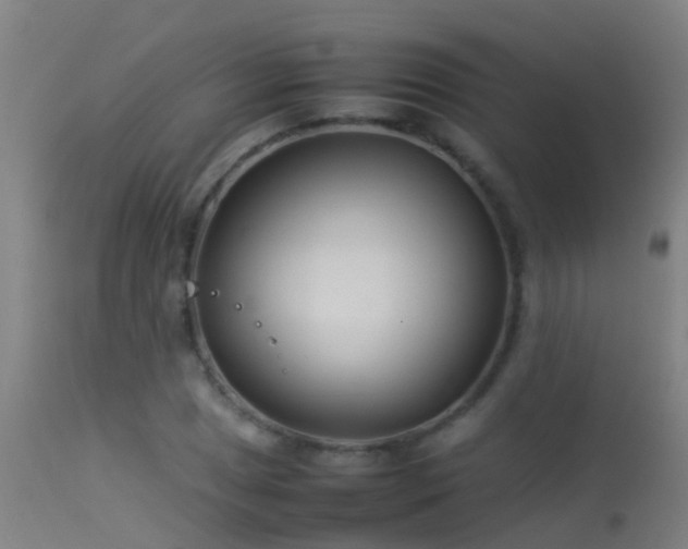 X0000114141025200910151604