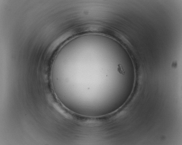 X0000114141026200910151604