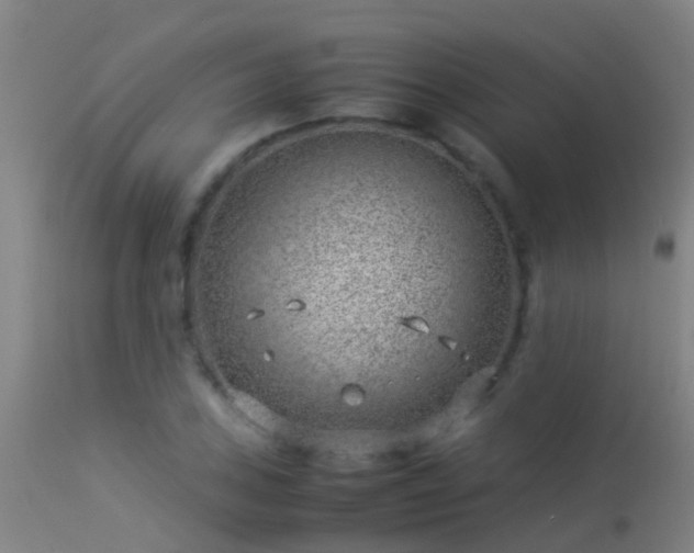 X0000114141027200910151604