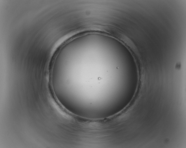 X0000114141028200910151604