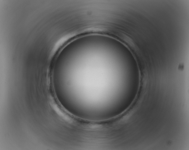 X0000114141030200910151604