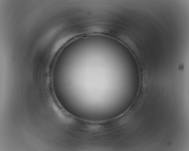 X0000114141031200910151604