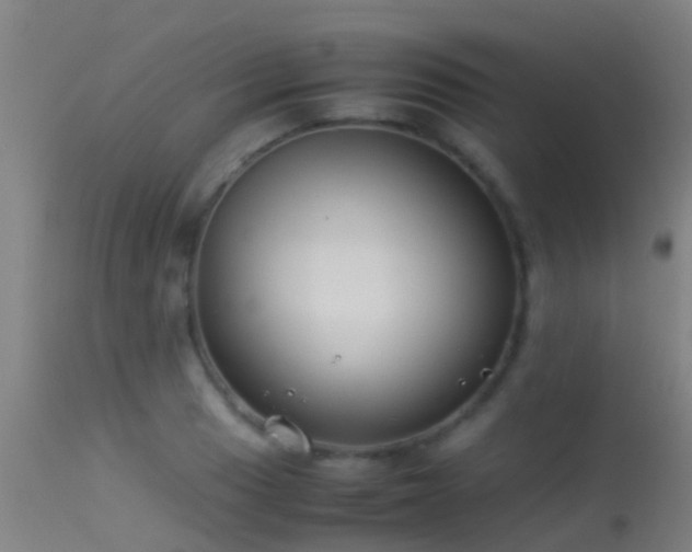 X0000114141033200910151604