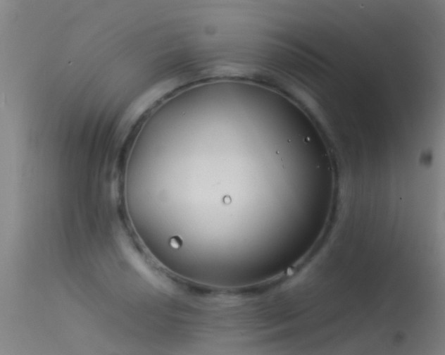 X0000114141034200910151604