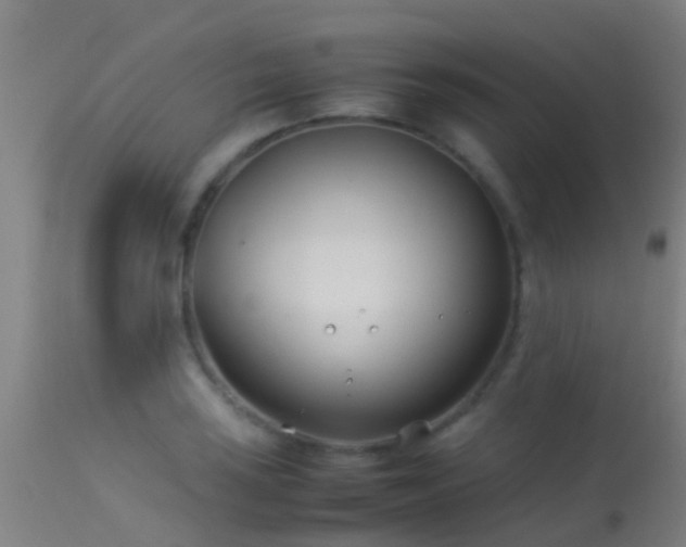 X0000114141035200910151604